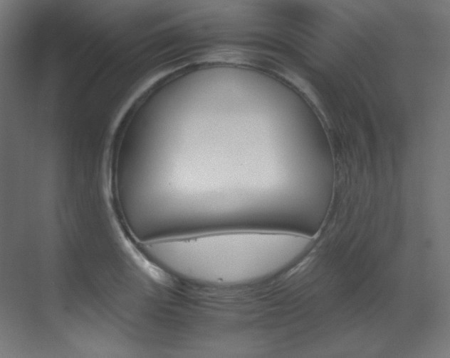 X0000070171131200605260957