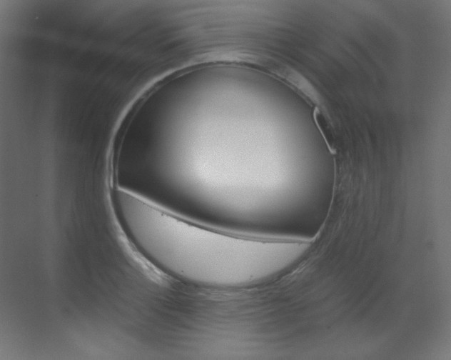 X0000070171132200605260958