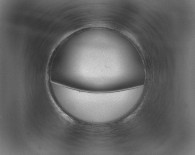 X0000070171133200605260958