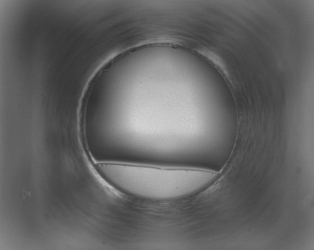 X0000070171135200605260958