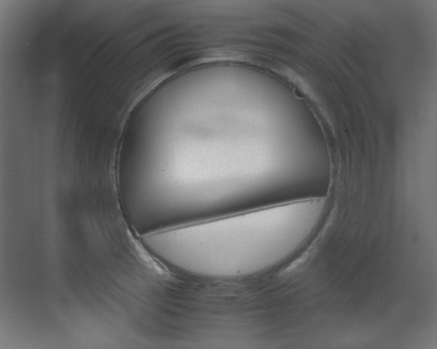X0000070171137200605260958