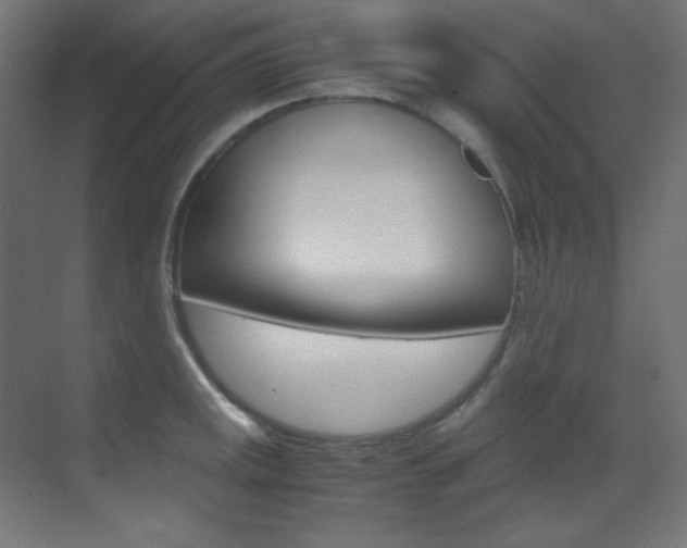 X0000070171141200605260958