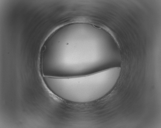 X0000070171147200605260958