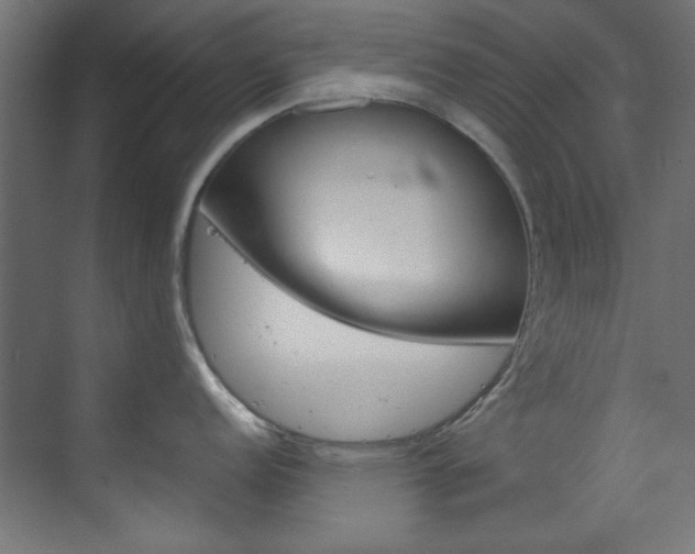 X0000070171152200605260958
