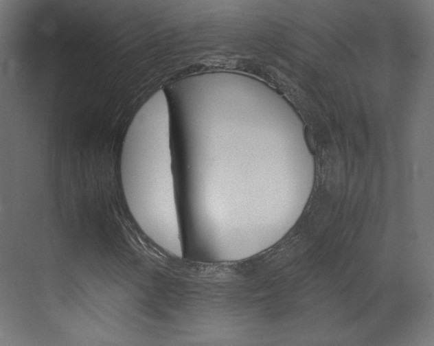 X0000070171154200605260957