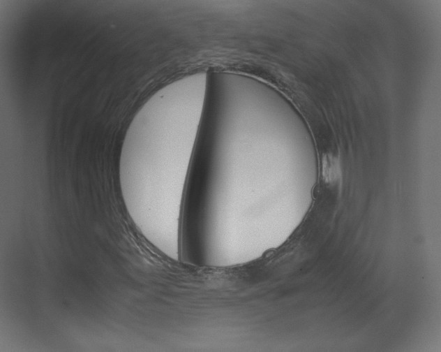 X0000070171155200605260957