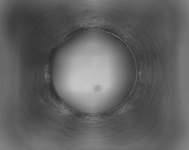 X0000070171156200605260957
