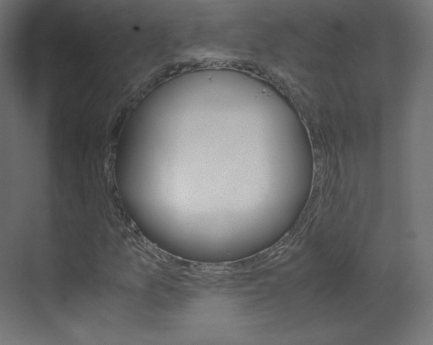 X0000070171157200605260957
