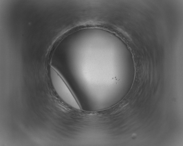 X0000070171160200605260957