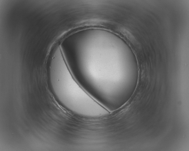 X0000070171164200605260957