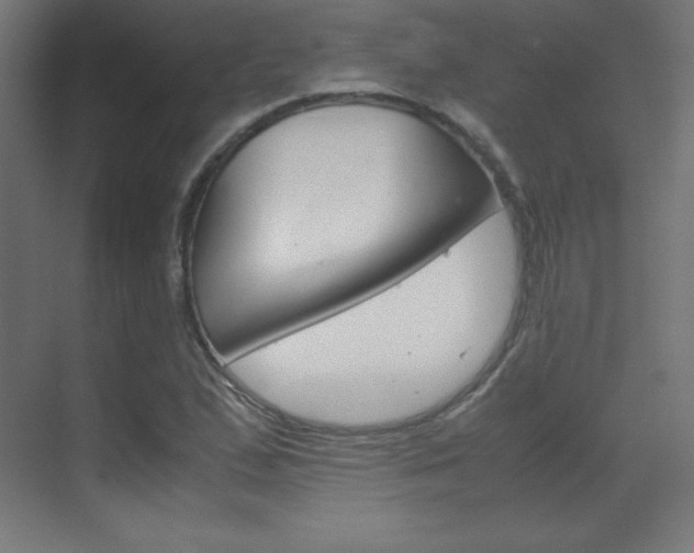 X0000070171167200605260957