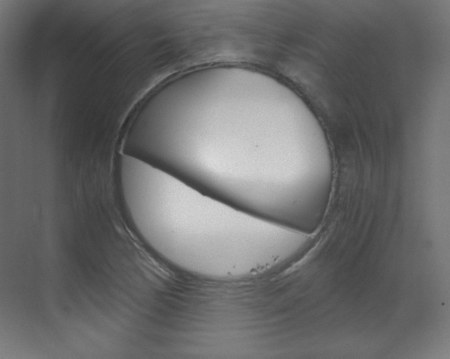 X0000070171170200605260957
