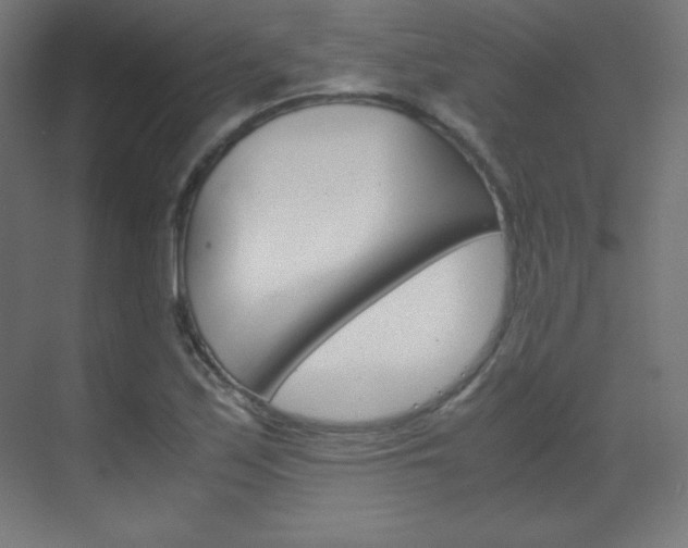 X0000070171171200605260957