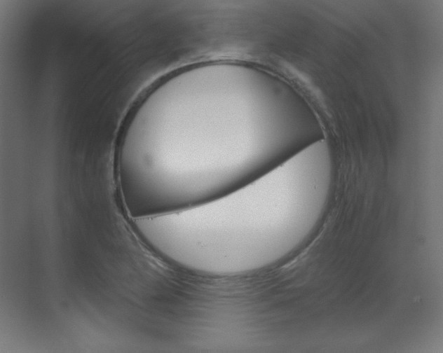 X0000070171174200605260957