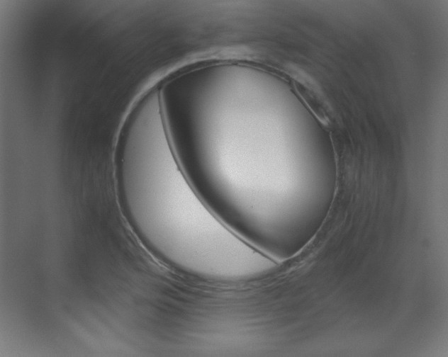 X0000070171176200605260957