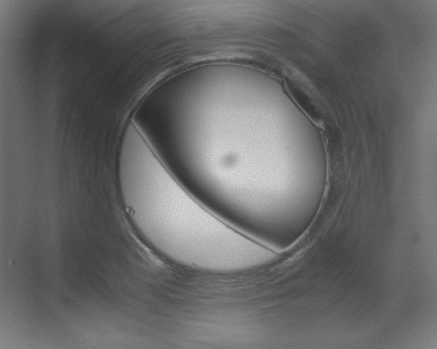 X0000070171177200605260957