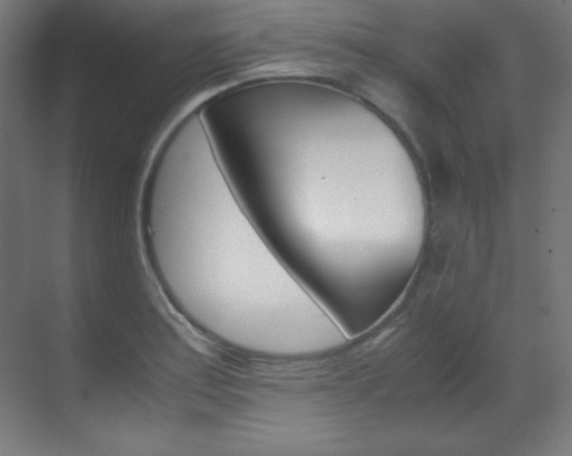 X0000070171179200605260957