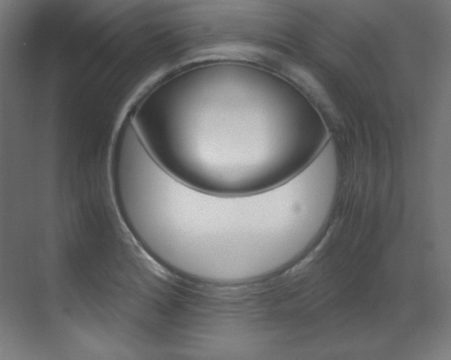 X0000070171180200605260957