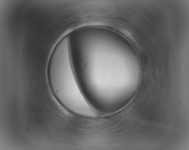 X0000070171181200605260957