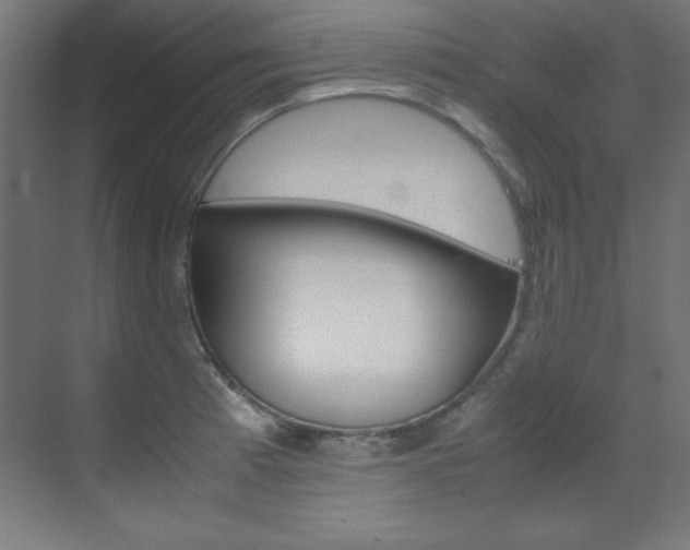 X0000070171185200605260957