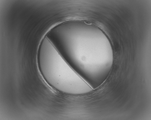 X0000070171187200605260956