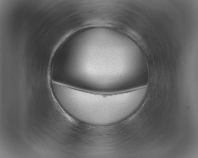 X0000070171188200605260956