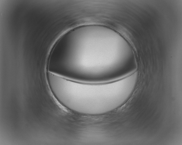 X0000070171197200605260956