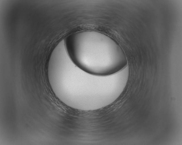 X0000070171201200605260955