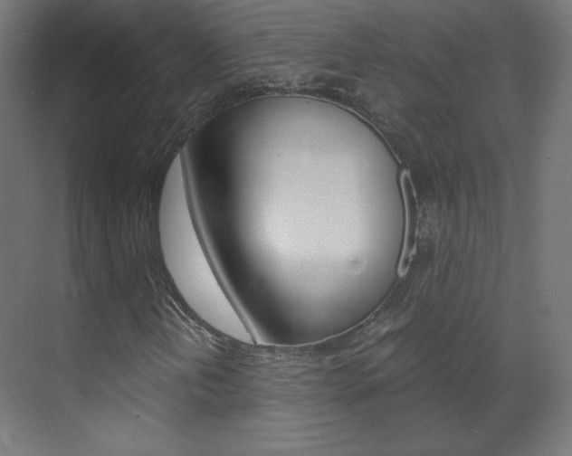 X0000070171202200605260955