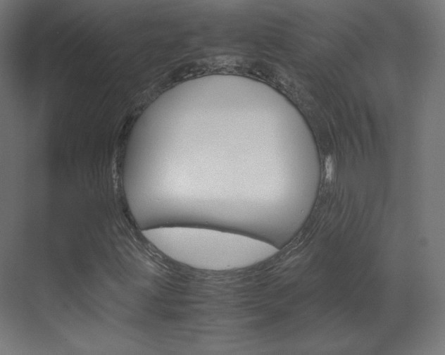 X0000070171203200605260955