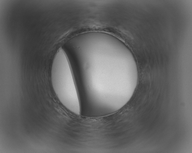 X0000070171205200605260956