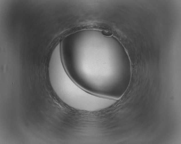 X0000070171206200605260956