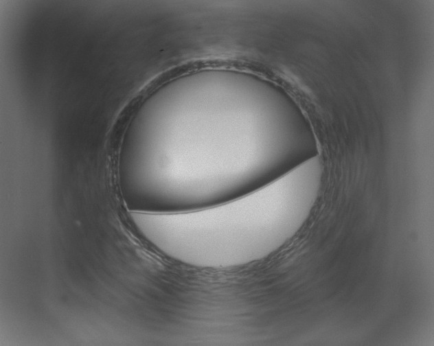 X0000070171208200605260956