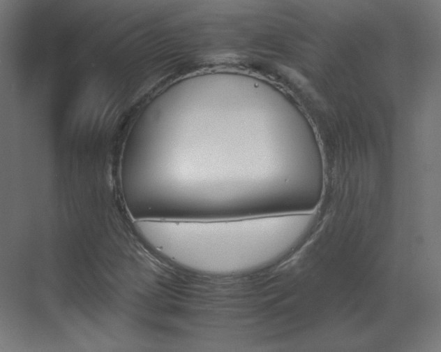 X0000070171209200605260956