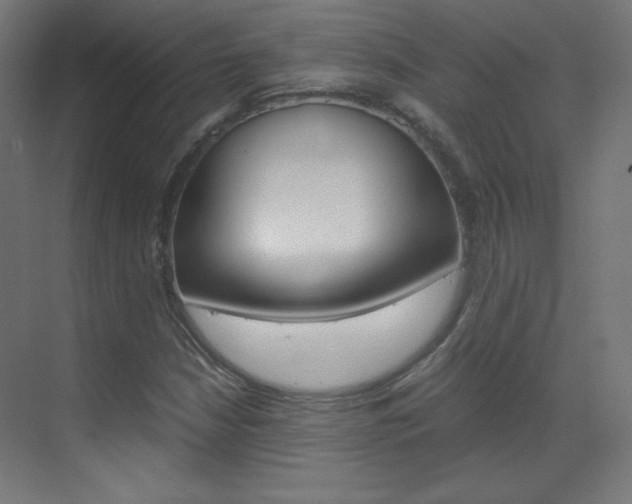 X0000070171210200605260956