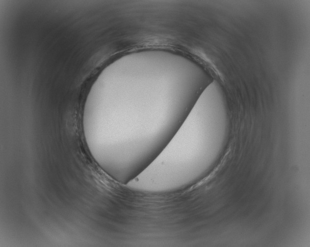 X0000070171211200605260956