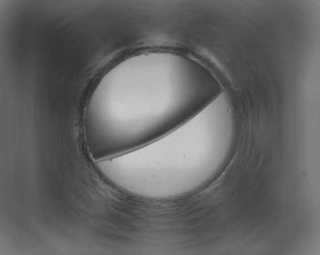 X0000070171213200605260956