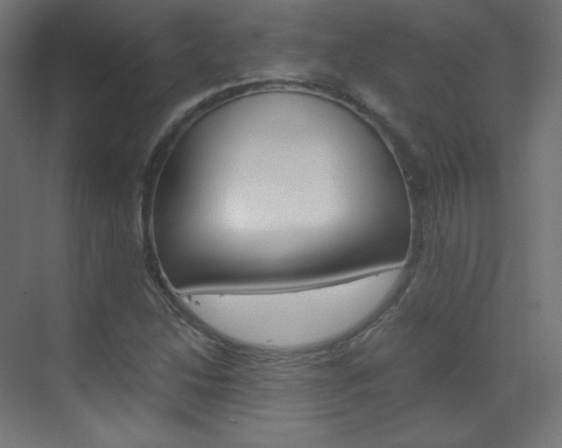 X0000070171214200605260956
