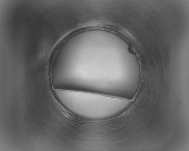 X0000070171216200605260956