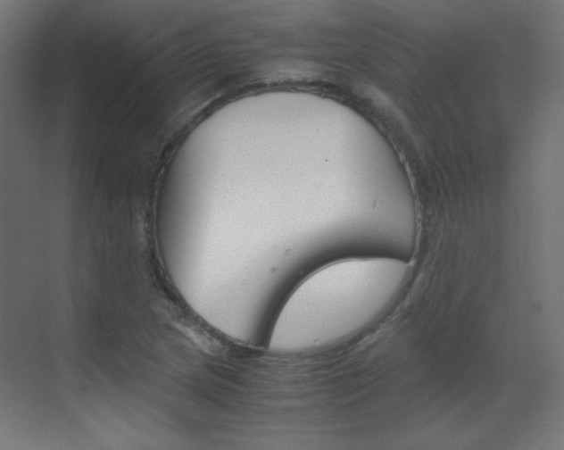 X0000070171217200605260956
