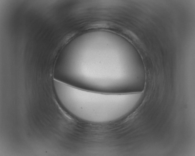 X0000070171225200605260956