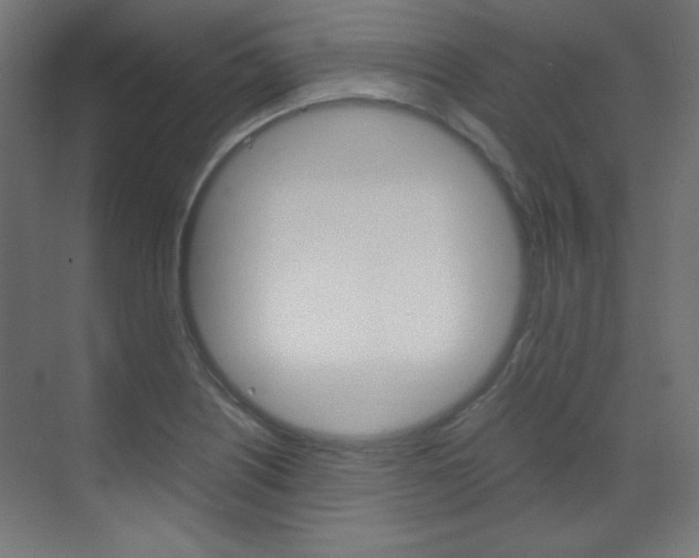 X0000070171226200605260956