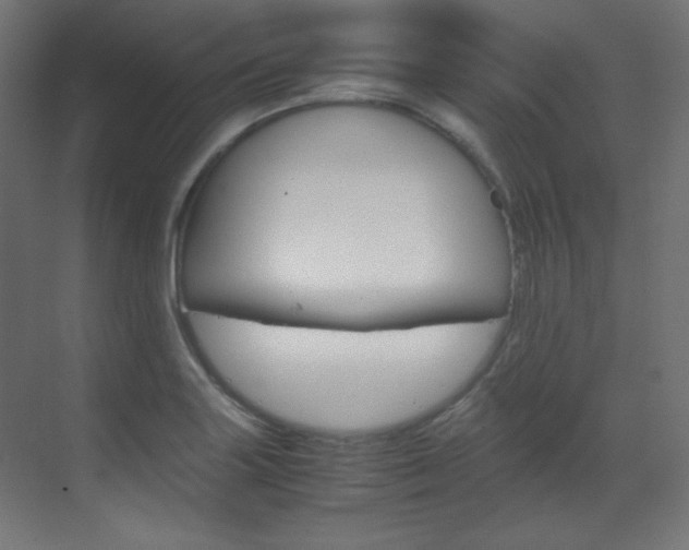 X0000070171227200605260956