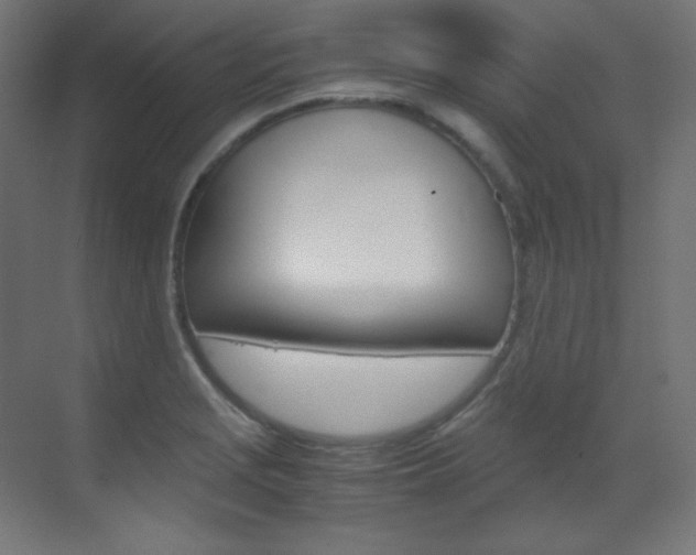 X0000070171229200605260956