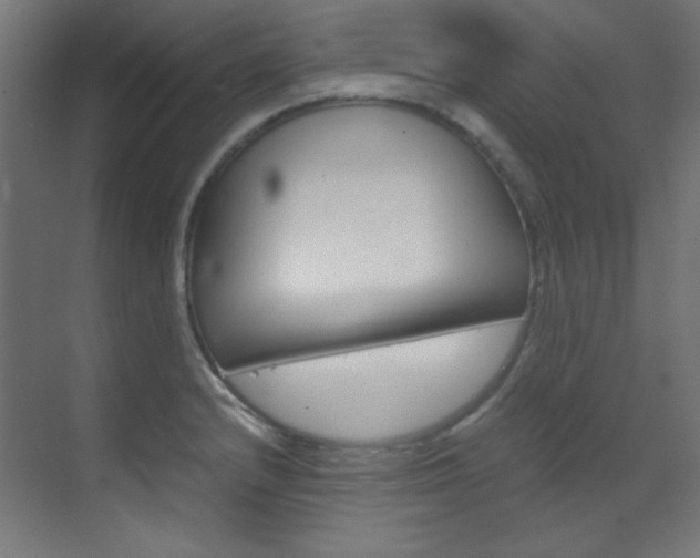X0000070171232200605260956