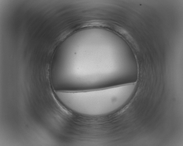 X0000070171233200605260956