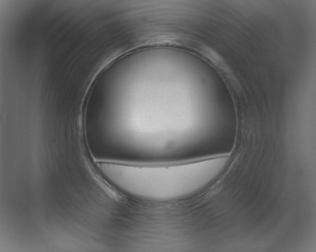 X0000070171234200605260956