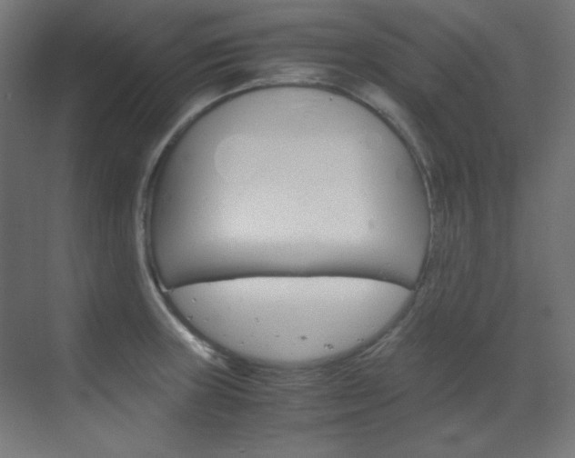 X0000070171235200605260956