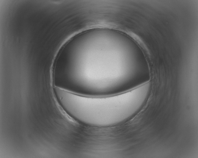 X0000070171238200605260956