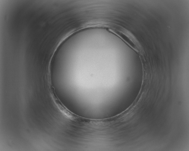 X0000070171242200605260956